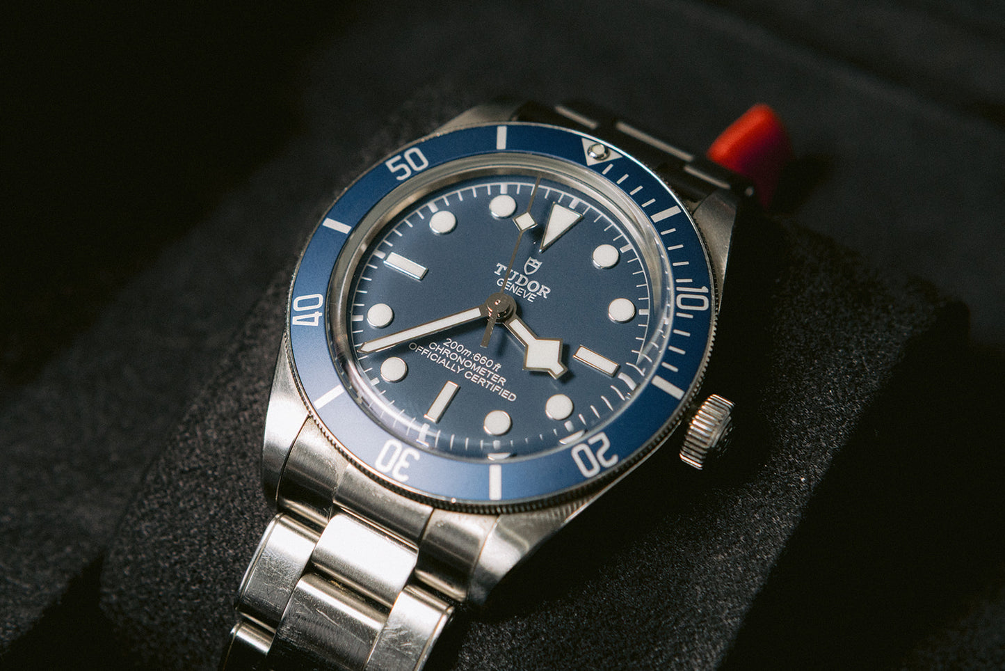 Tudor Black Bay