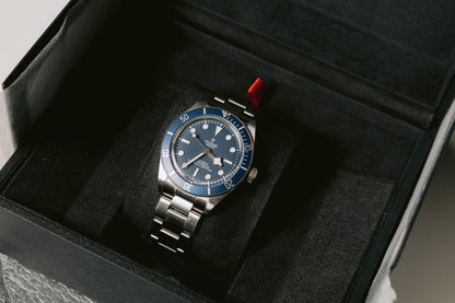 Tudor Black Bay