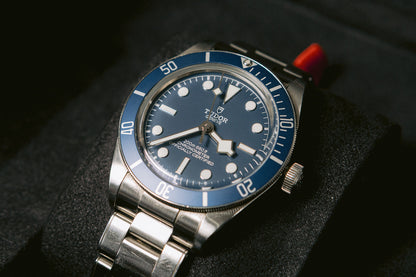 Tudor Black Bay